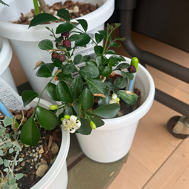 khaiさんの部屋