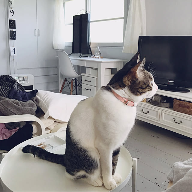 Shihoさんの実例写真