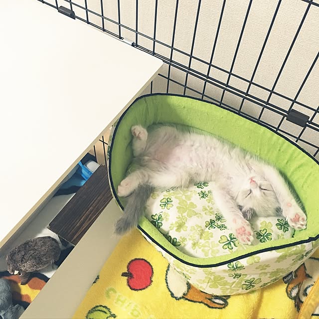 rbesfさんの実例写真