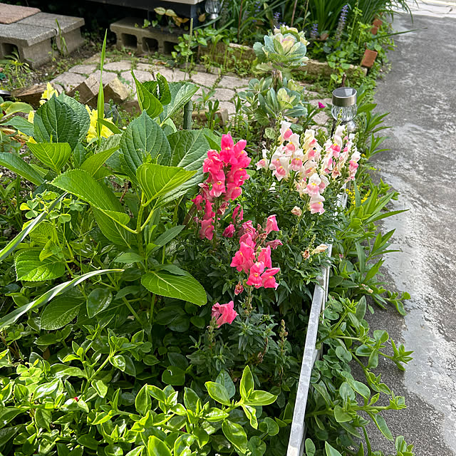 Fumiさんの部屋