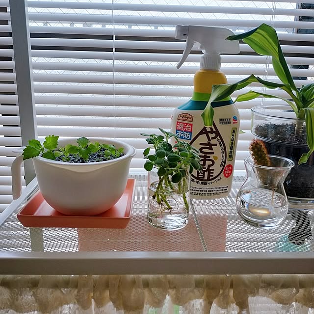 38さんの部屋