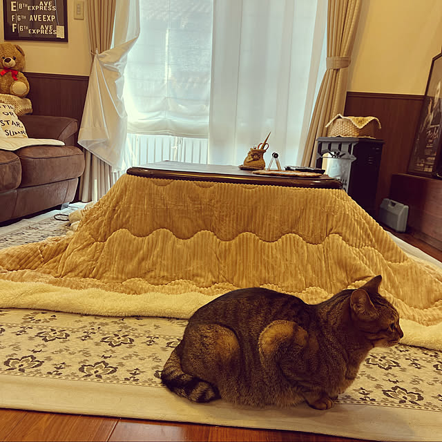 chikaさんの実例写真