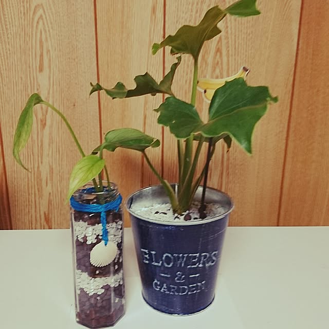 Nanaさんの実例写真