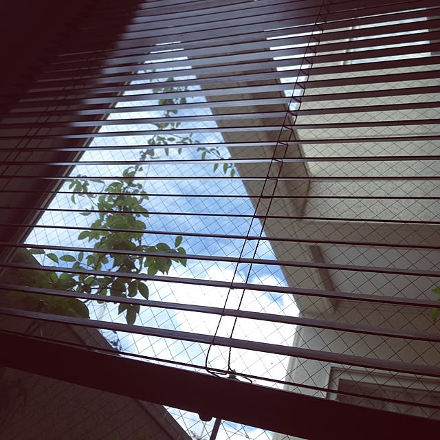 ricaさんの実例写真