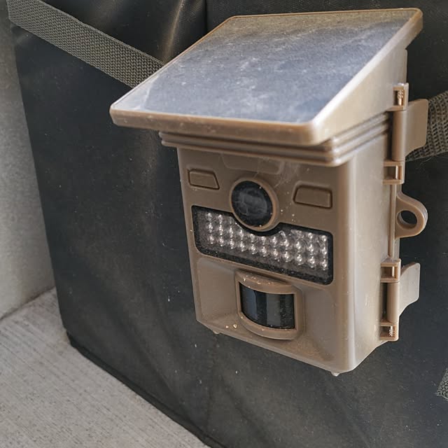 Maroさんの部屋