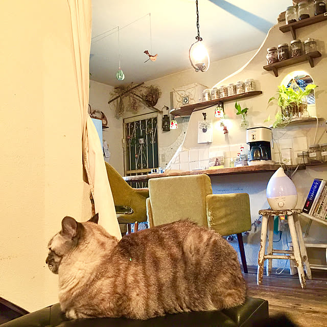 rosemaryさんの実例写真