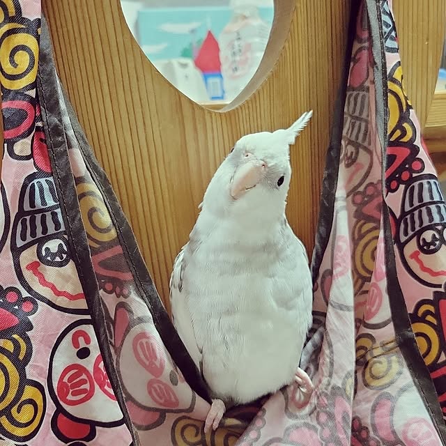ANTENNAさんの実例写真