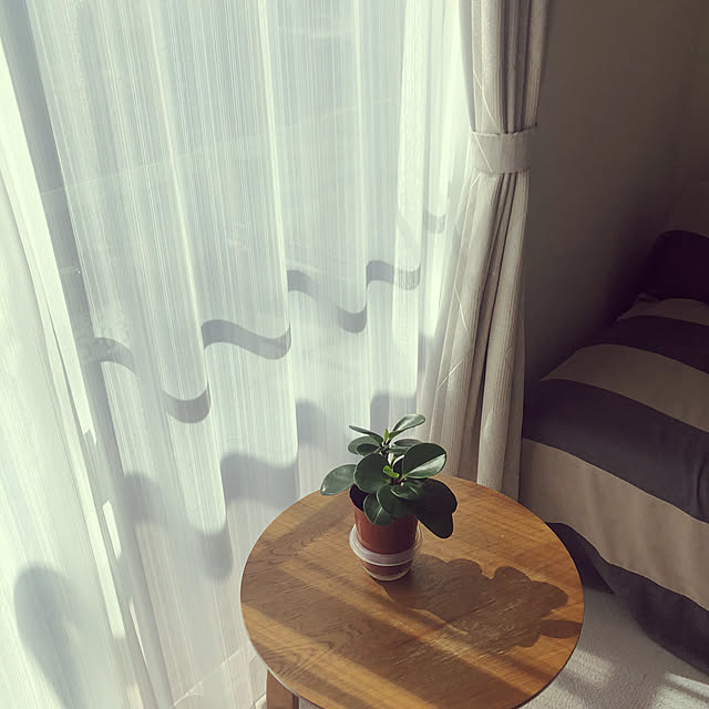 teapotさんの実例写真