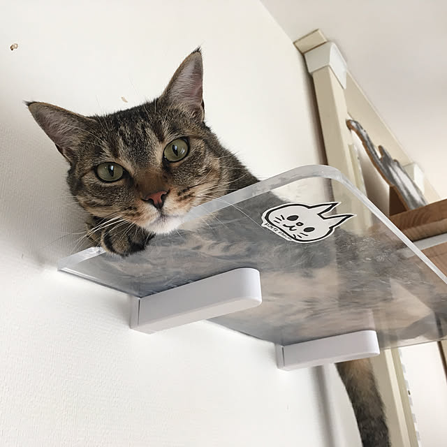 mikomaruさんの実例写真