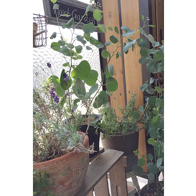 Hisayoさんの実例写真