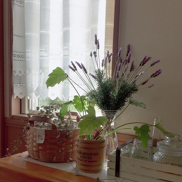 charuさんの実例写真