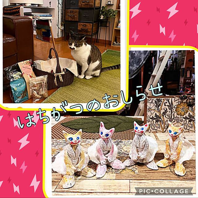 jijiさんの実例写真