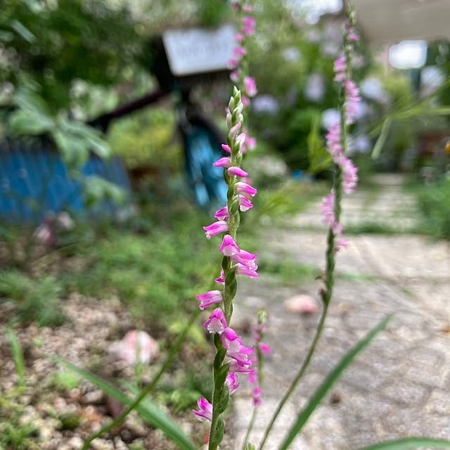 min_nimさんの実例写真