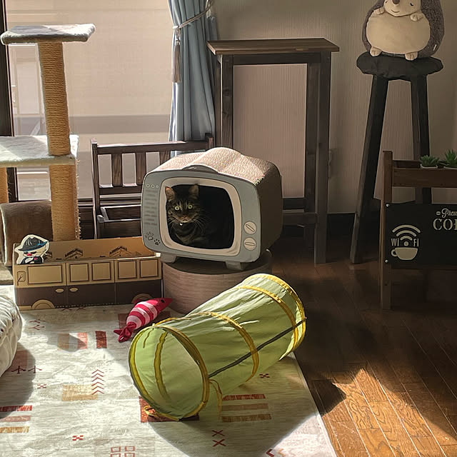momocchiさんの部屋