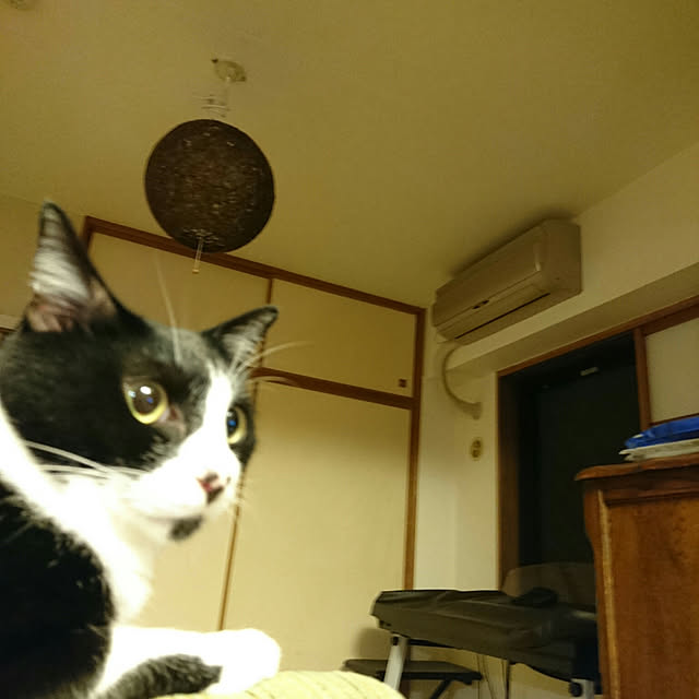 okyosan101さんの実例写真