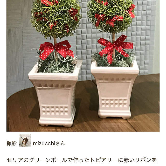 mizucchiさんの実例写真
