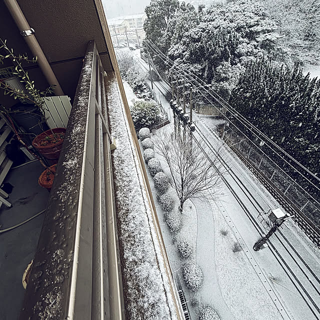 koshiregutyoさんの部屋