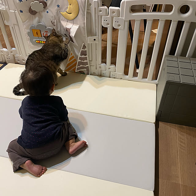 mikomaruさんの実例写真