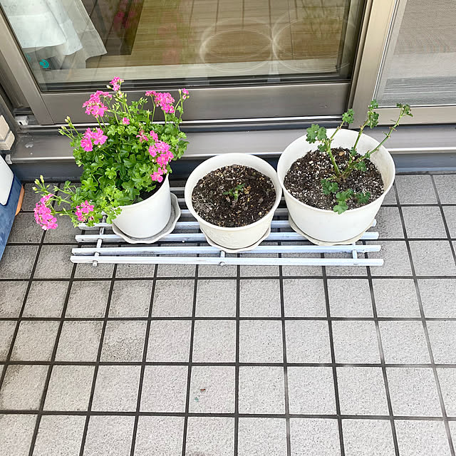 YuuKoさんの実例写真