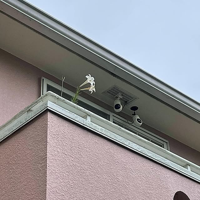 sixflagsさんの実例写真
