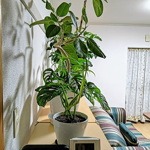 hanachanさんの部屋