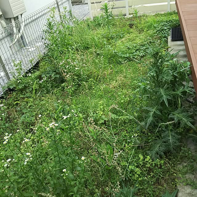 reipanさんの実例写真