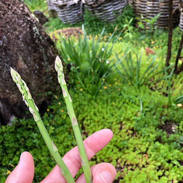 weさんの実例写真
