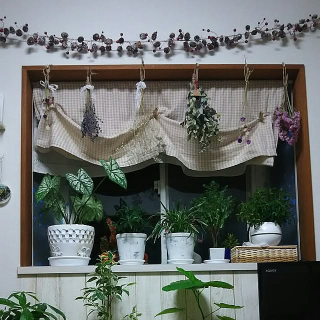 naopyiさんの実例写真