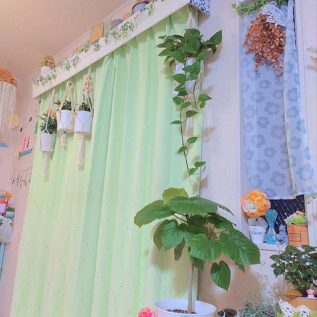 Miyumamaさんの実例写真
