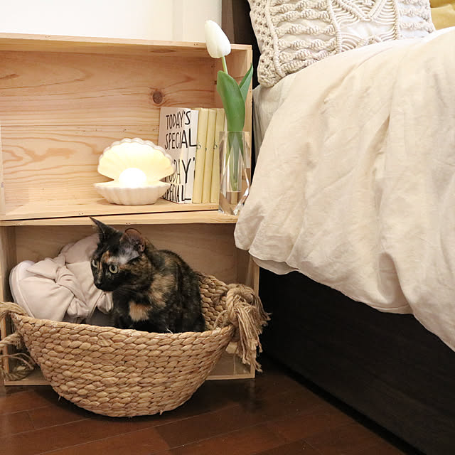 2catsさんの実例写真