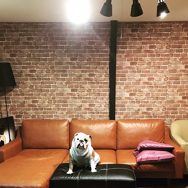 amiさんの実例写真
