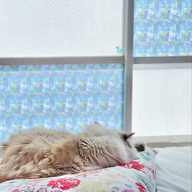 maicatloverさんの実例写真