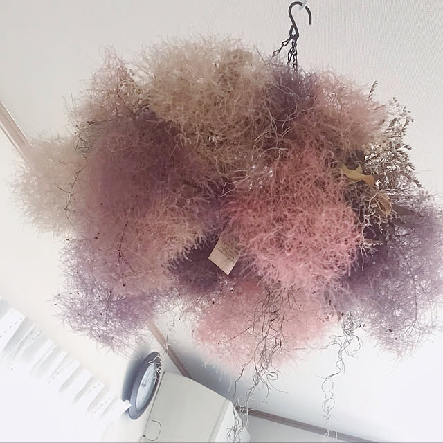 hyi.y.519さんの実例写真