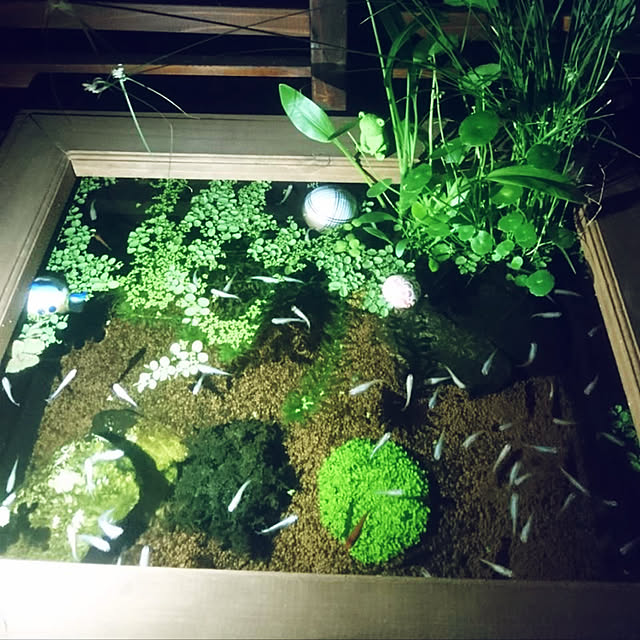kyoko1124koさんの実例写真