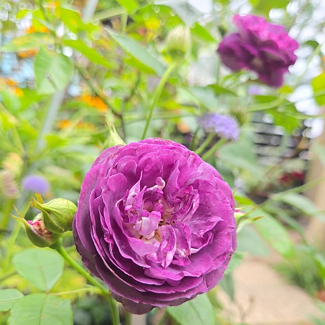 min_nimさんの実例写真