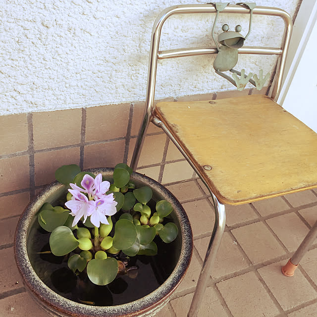 yukoさんの実例写真