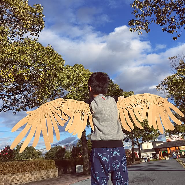 実例写真