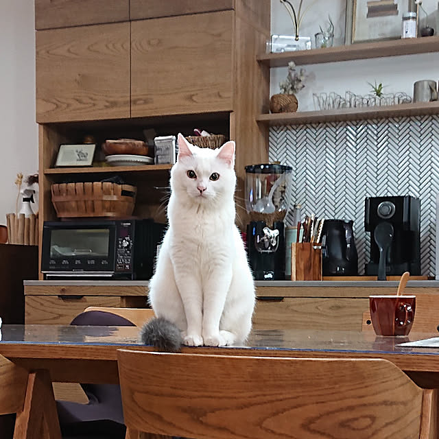 MIPORINNさんの実例写真