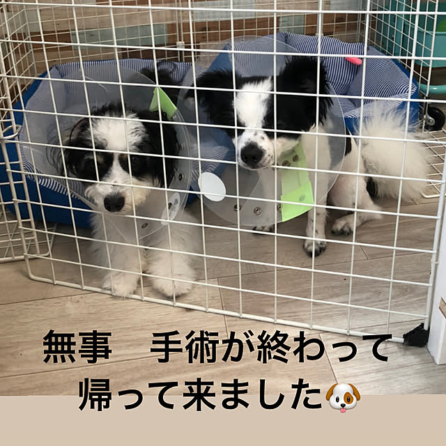 k.yuka29さんの実例写真