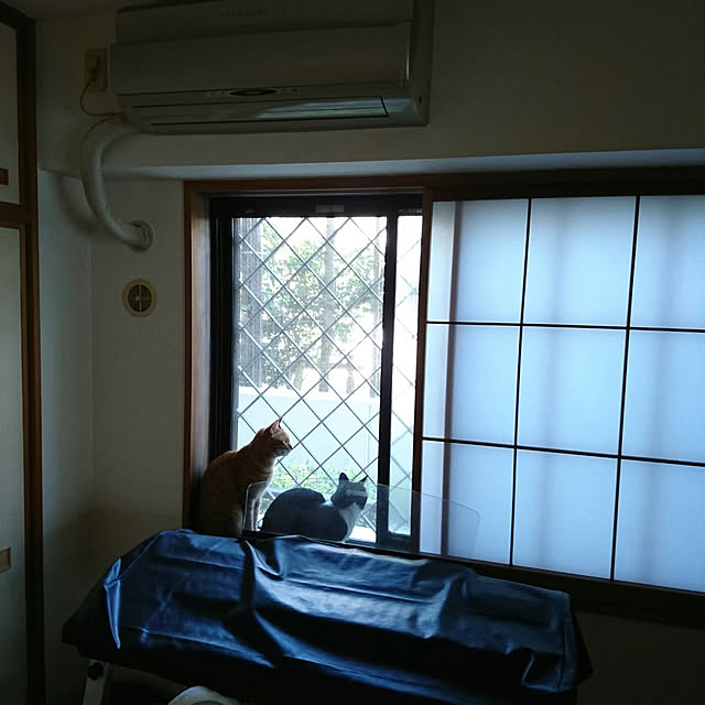 okyosan101さんの実例写真