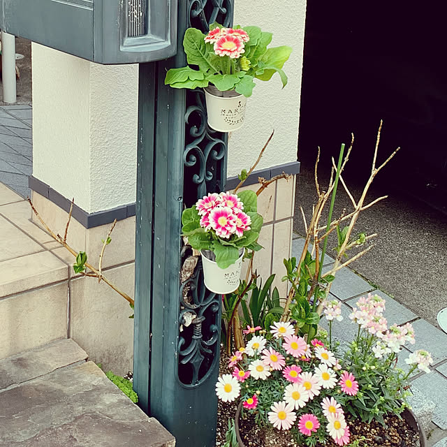 AINIさんの部屋