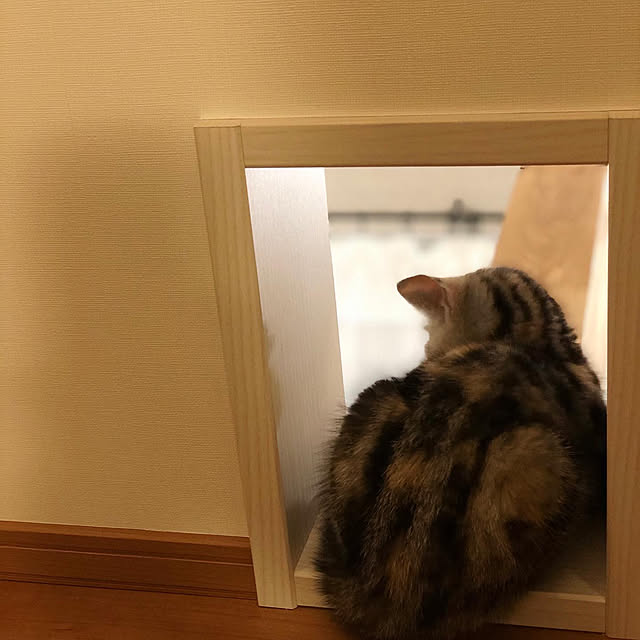 mikkumikuさんの実例写真