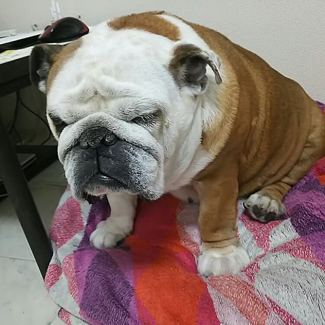 AandPさんの実例写真