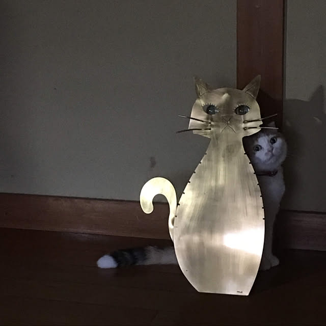 akanejewelerさんの実例写真