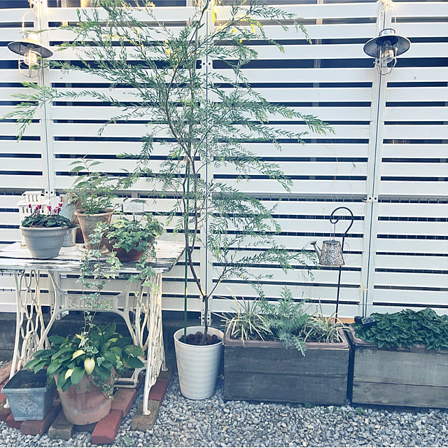 felicityさんの実例写真