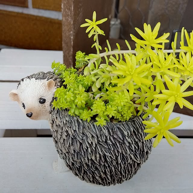 azuさんの実例写真