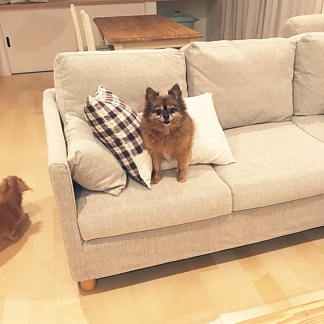 pomuriさんの実例写真