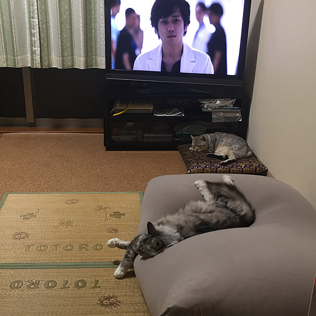 hanachanさんの実例写真