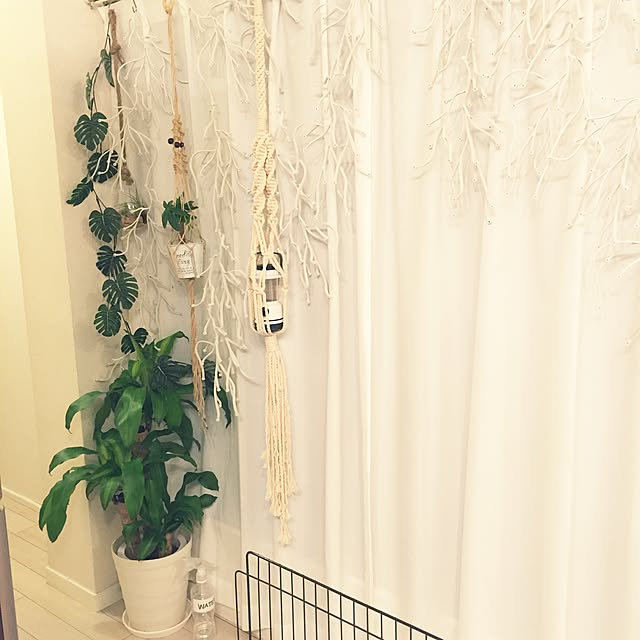 NOELさんの実例写真