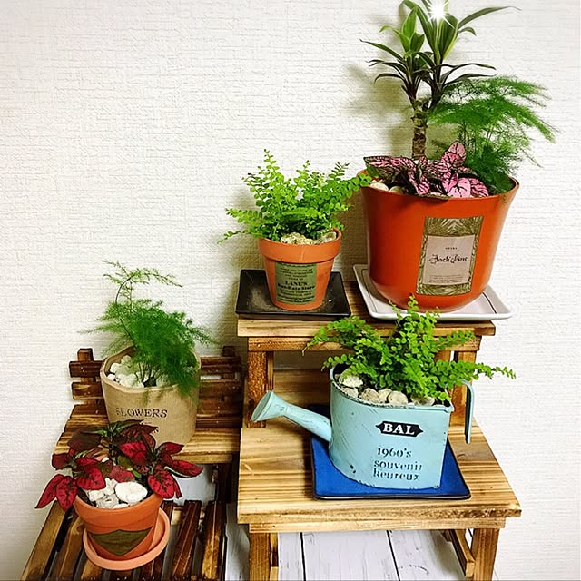 numaさんの実例写真